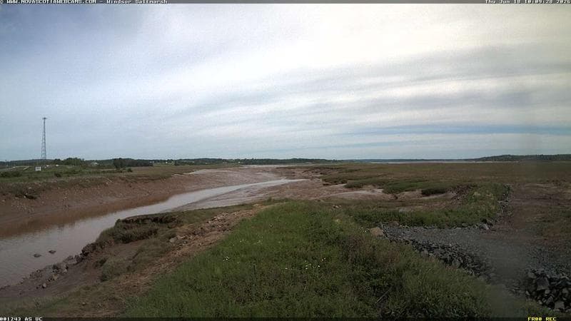 Windsor Salt Marsh