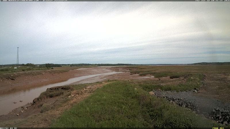 Windsor Salt Marsh