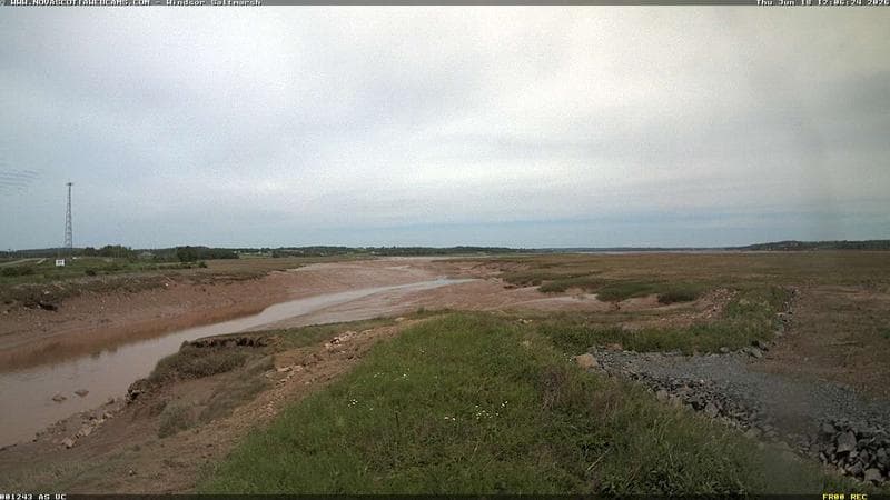 Windsor Salt Marsh