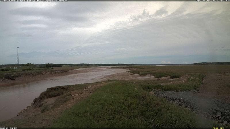 Windsor Salt Marsh