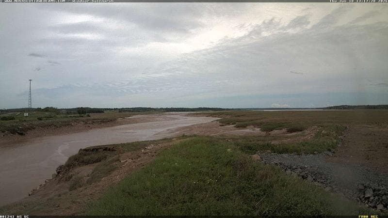 Windsor Salt Marsh