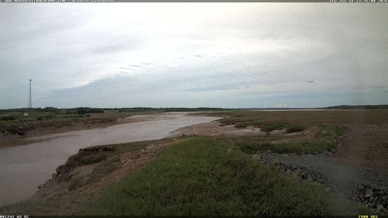 Windsor Salt Marsh
