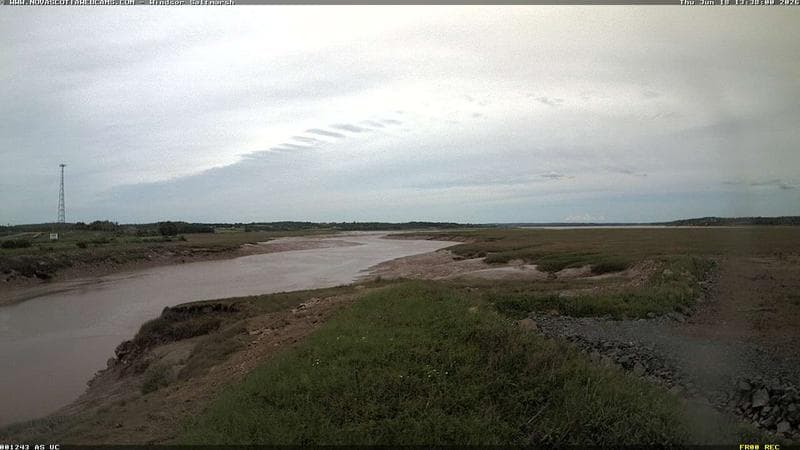 Windsor Salt Marsh