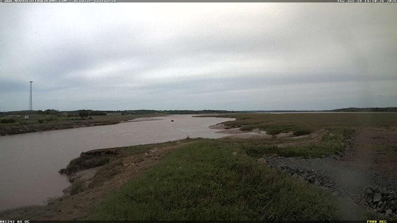 Windsor Salt Marsh