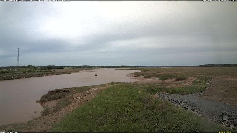 Windsor Salt Marsh