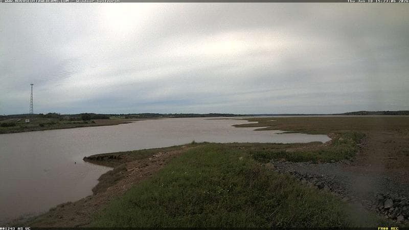 Windsor Salt Marsh