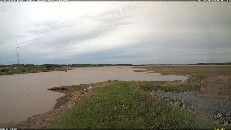 Windsor Salt Marsh