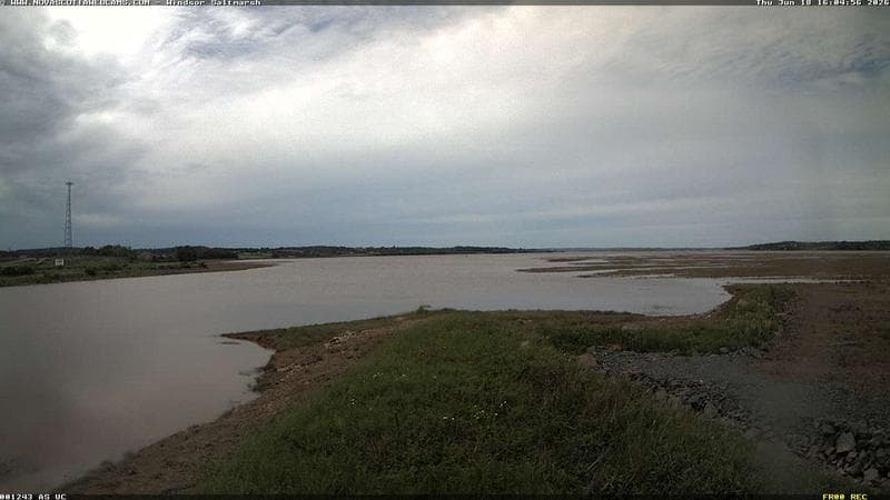 Windsor Salt Marsh