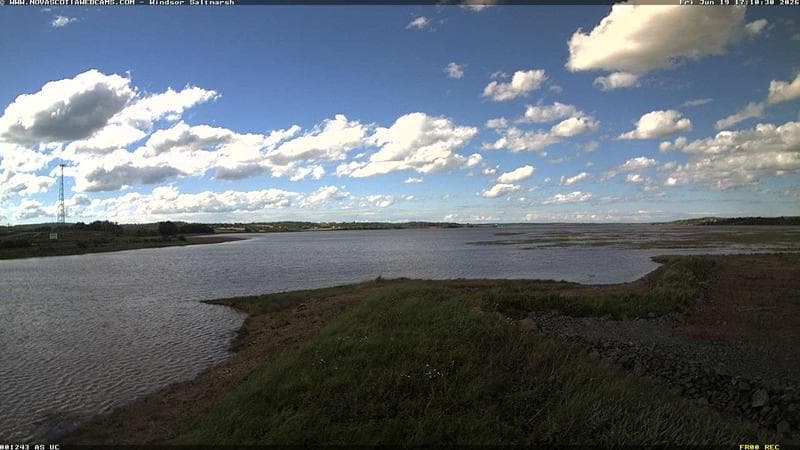 Windsor Salt Marsh