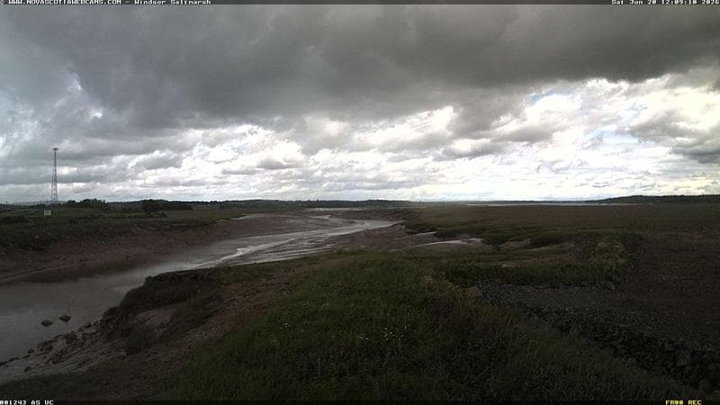 Windsor Salt Marsh