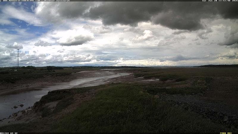 Windsor Salt Marsh