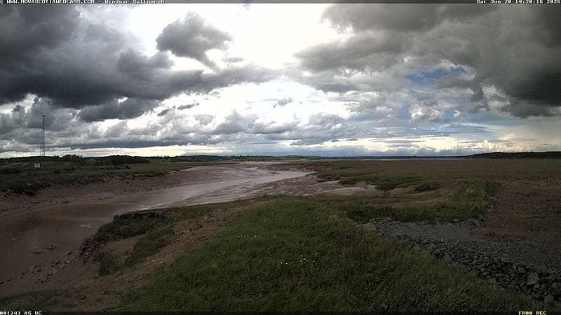 Windsor Salt Marsh