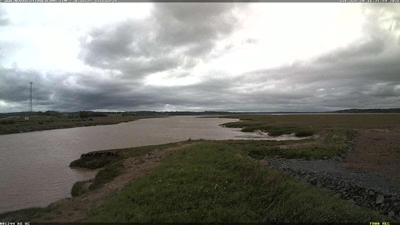 Windsor Salt Marsh