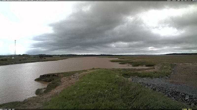 Windsor Salt Marsh
