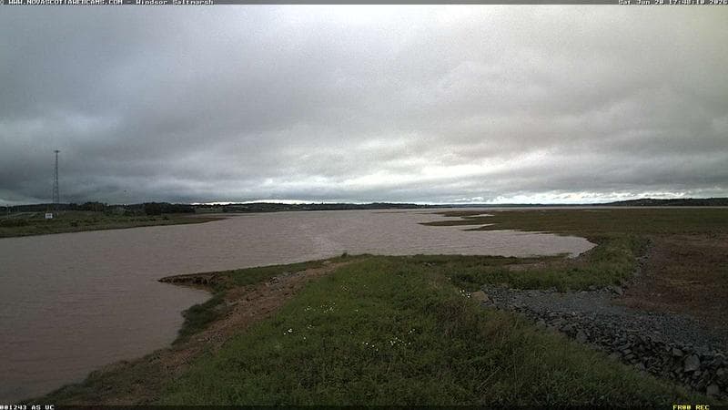 Windsor Salt Marsh
