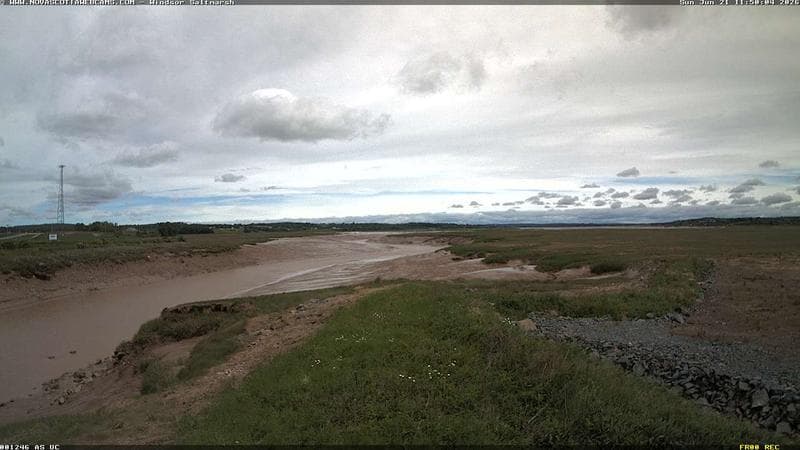 Windsor Salt Marsh
