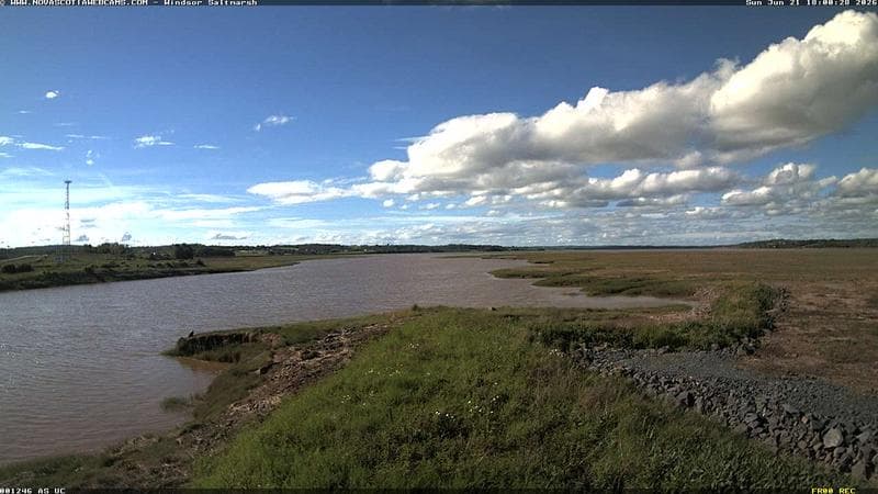 Windsor Salt Marsh