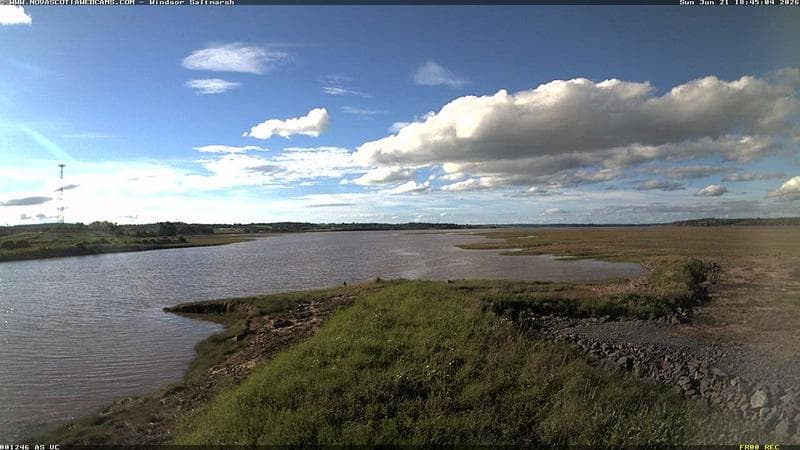 Windsor Salt Marsh