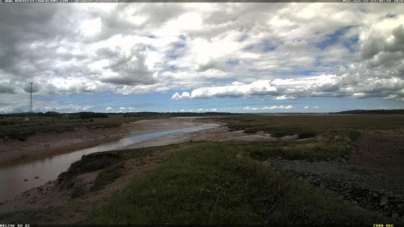 Windsor Salt Marsh