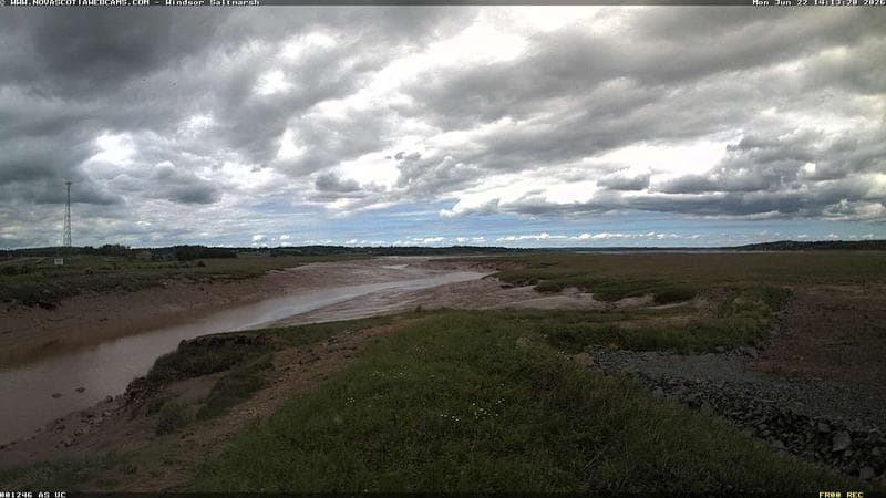 Windsor Salt Marsh