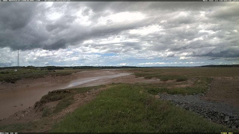 Windsor Salt Marsh