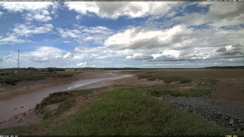 Windsor Salt Marsh