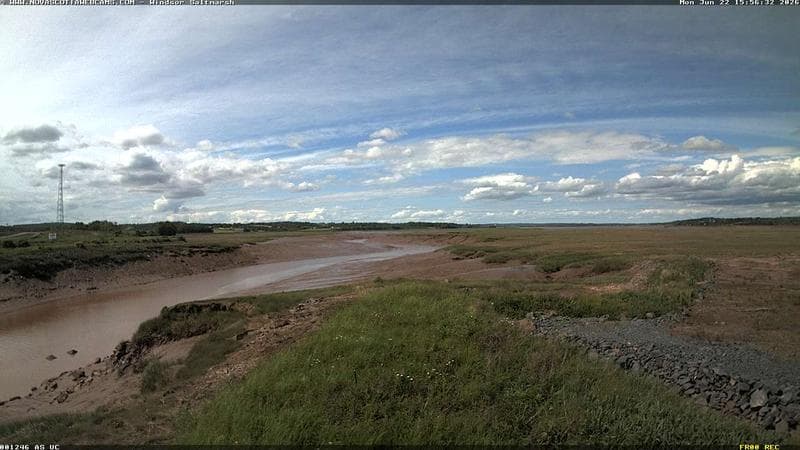 Windsor Salt Marsh