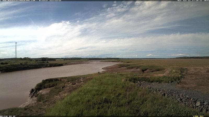 Windsor Salt Marsh