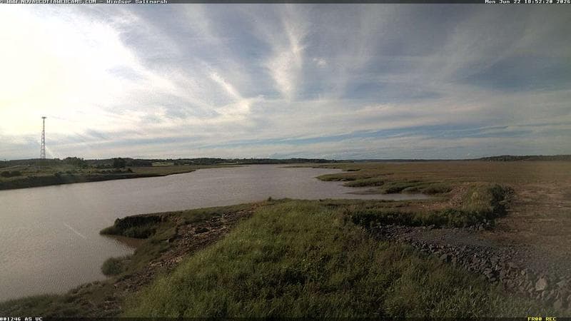 Windsor Salt Marsh