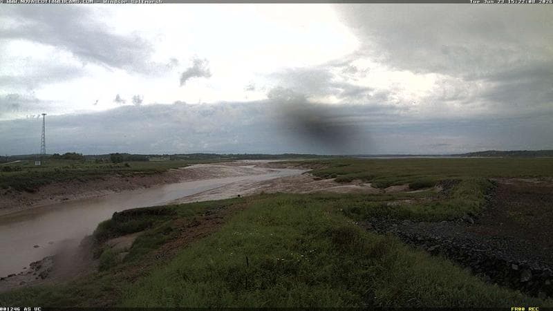Windsor Salt Marsh