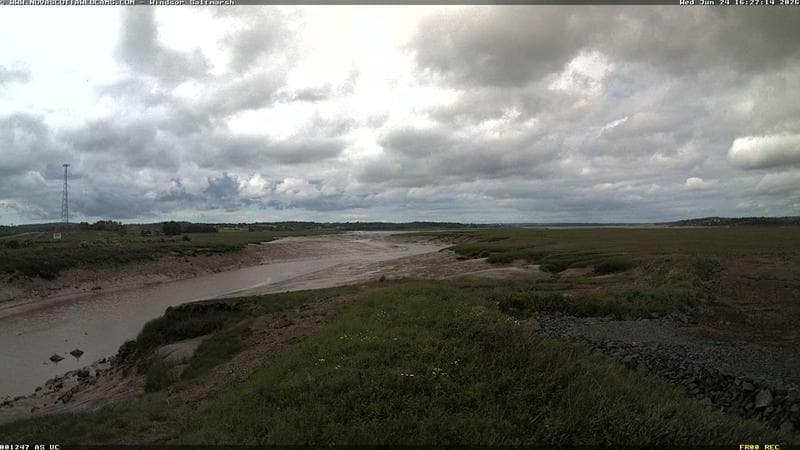 Windsor Salt Marsh