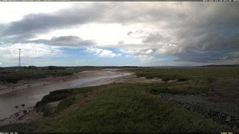 Windsor Salt Marsh