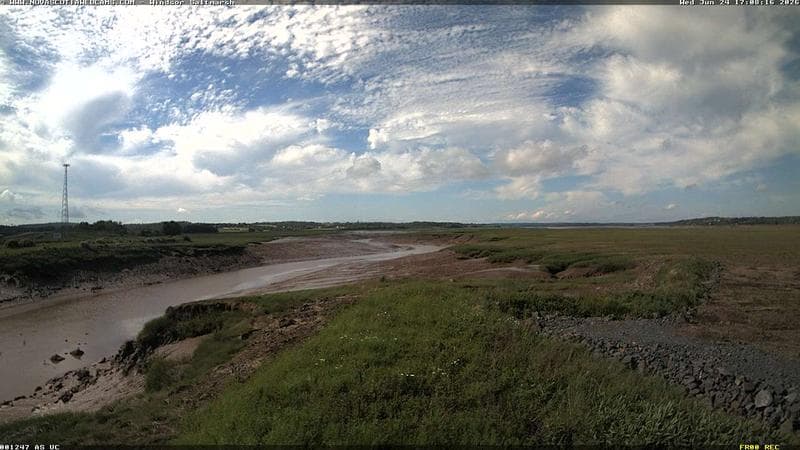 Windsor Salt Marsh