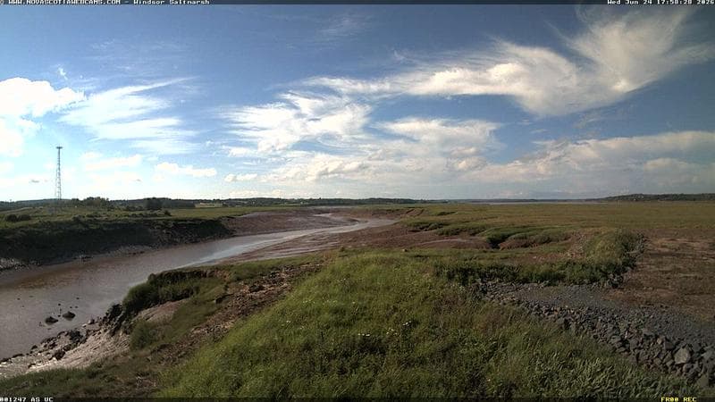 Windsor Salt Marsh