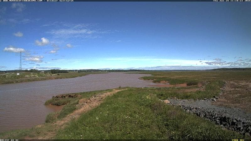 Windsor Salt Marsh