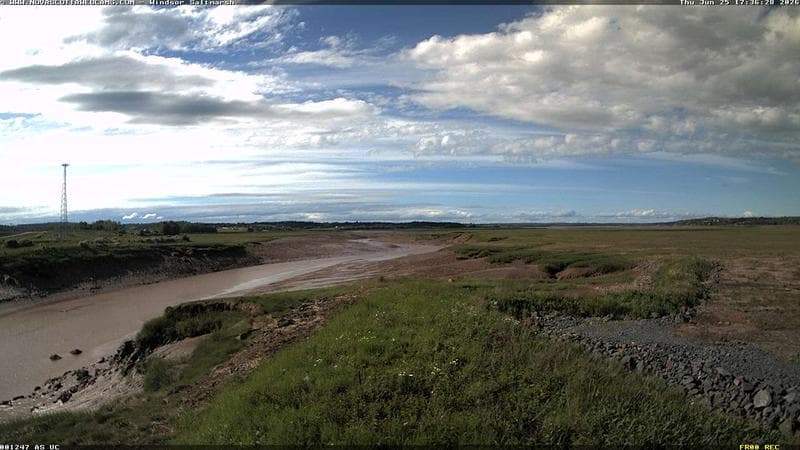 Windsor Salt Marsh