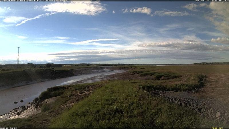 Windsor Salt Marsh