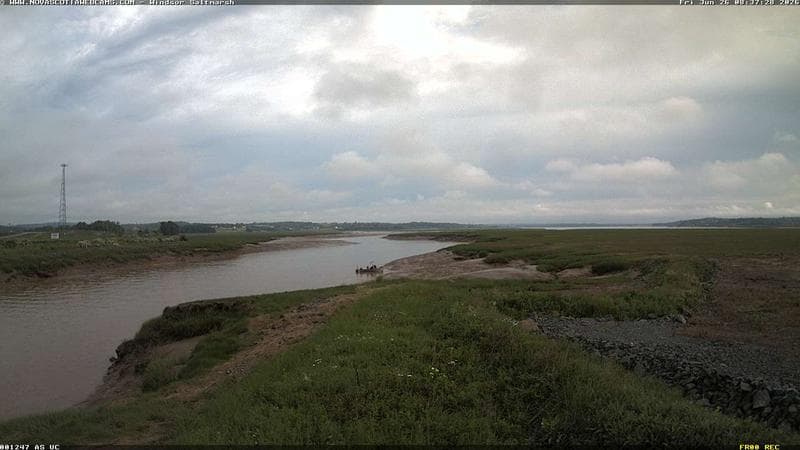Windsor Salt Marsh