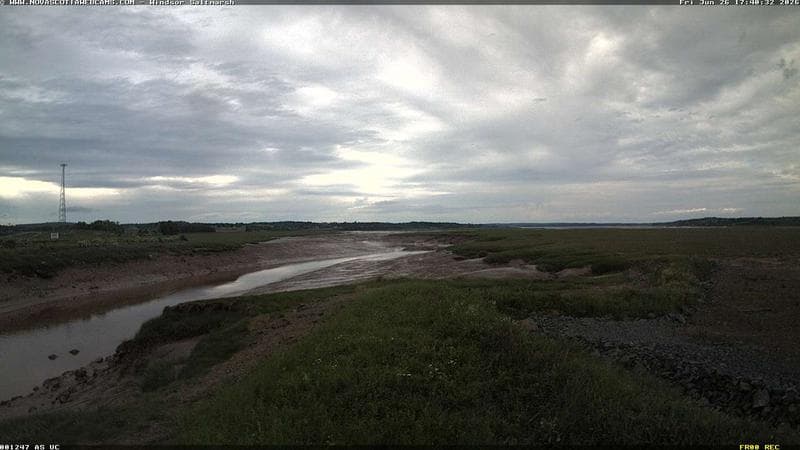 Windsor Salt Marsh