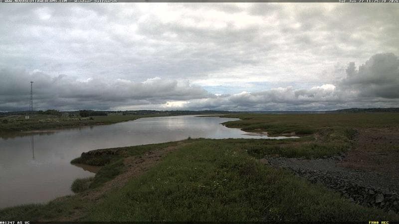 Windsor Salt Marsh