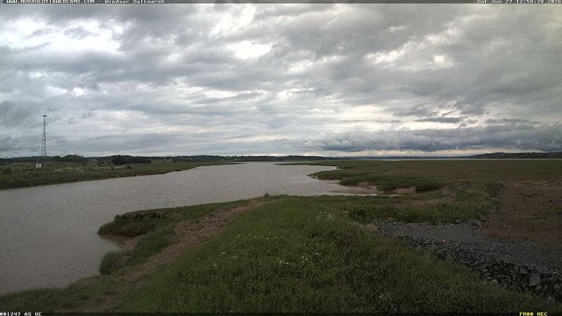 Windsor Salt Marsh