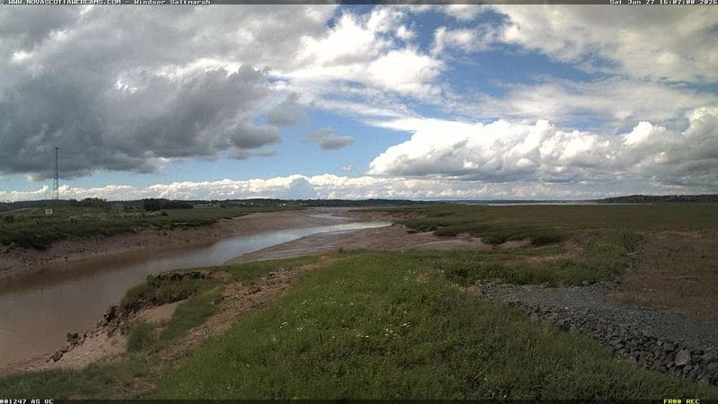 Windsor Salt Marsh