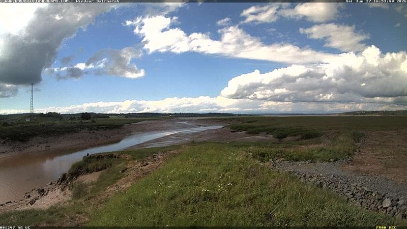 Windsor Salt Marsh