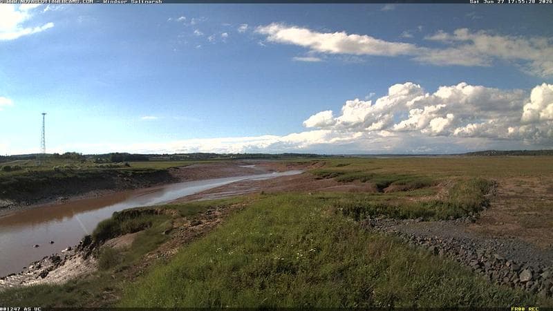 Windsor Salt Marsh