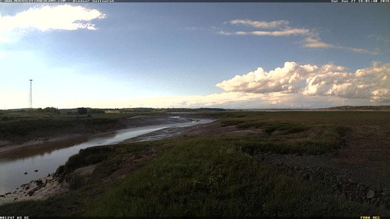 Windsor Salt Marsh