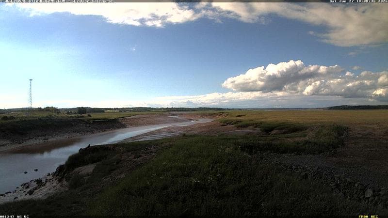 Windsor Salt Marsh