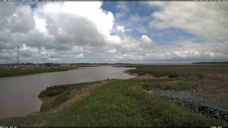 Windsor Salt Marsh