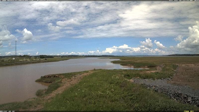 Windsor Salt Marsh