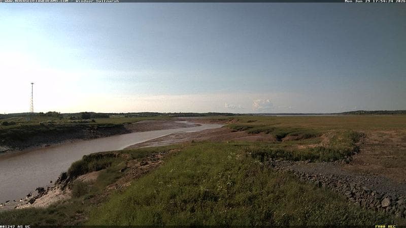 Windsor Salt Marsh