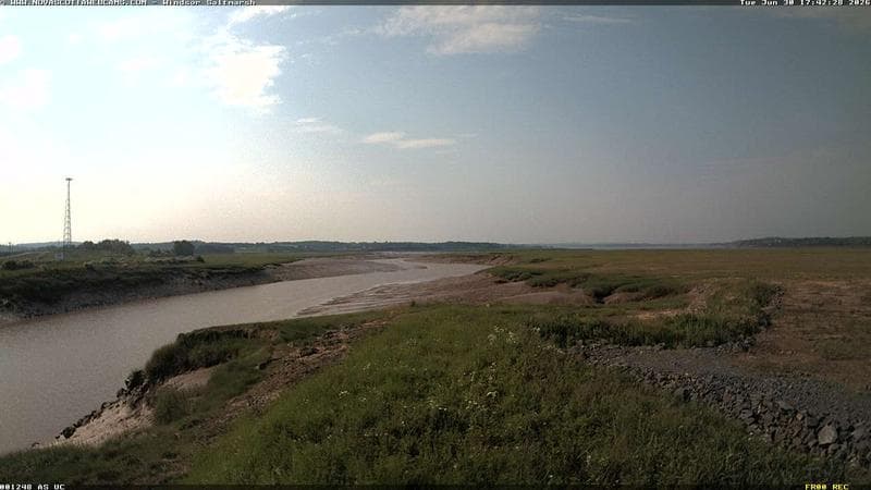 Windsor Salt Marsh